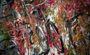 fahrrad-kaufen-berlin-mauer