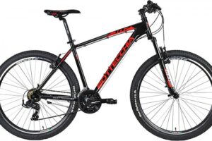 Bottecchia 107