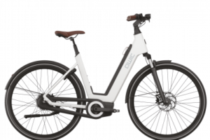 Qwic Premium Q MN8 756 Wh