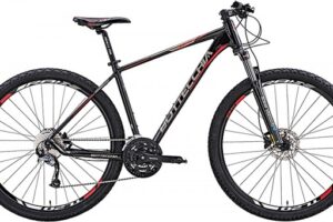 Bottecchia 125