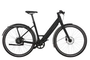 Riese & Müller UBN Six vario