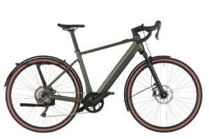 Riese & Müller UBN Five commute