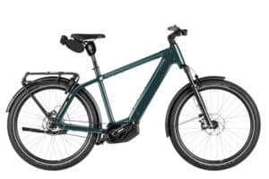 Riese & Müller Charger5 pinion
