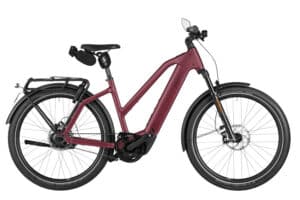 Riese & Müller Charger5 Mixte rohloff HS