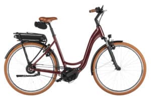 Riese & Müller Swing5 vario