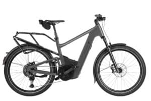 Riese & Müller Delite5 touring